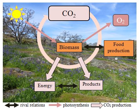 The potential and challenges of biomass