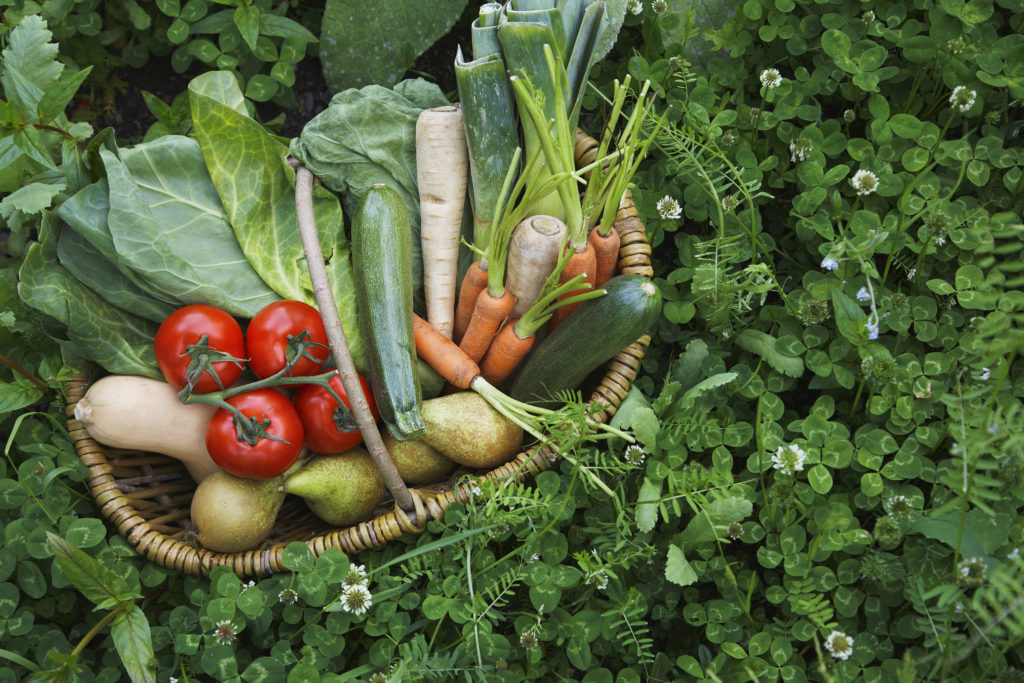 Fruit and vegetable basket surrounded by clover