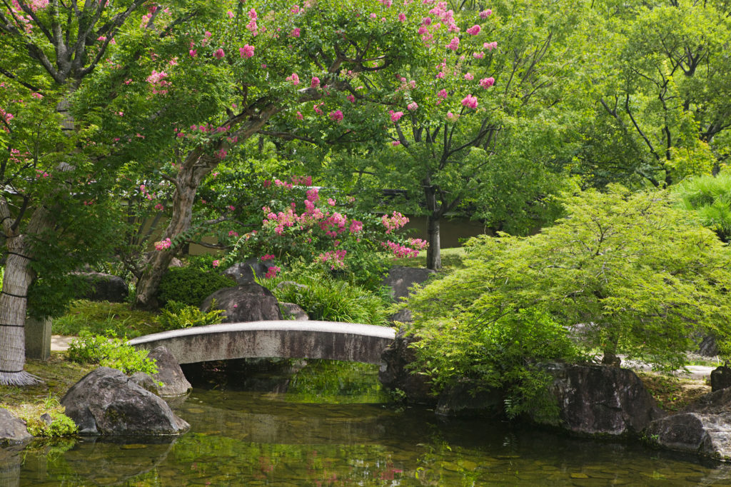 Japan garden